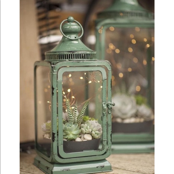 Meet your Posher, Darla - Picture 7 of 7